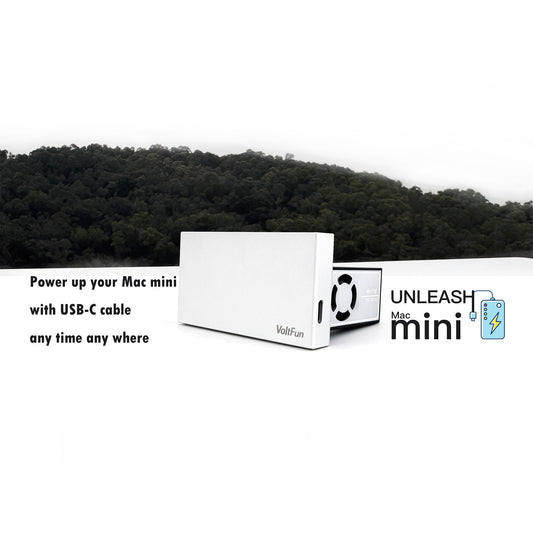 伏特趣迷你派 (VoltFun MiniPal)